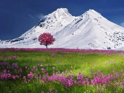 When You Only Have 5 Minutes But Need A Musical Lift