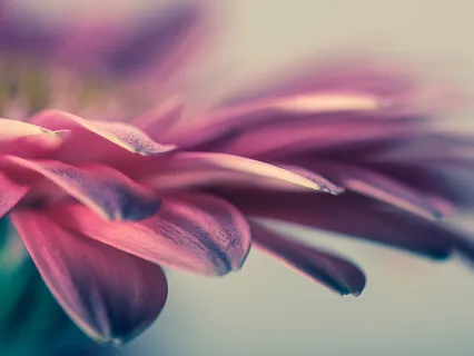 When You Only Have 5 Minutes