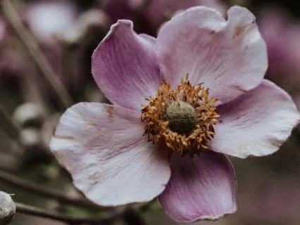 When You Protect The Relationship By Abandoning Yourself