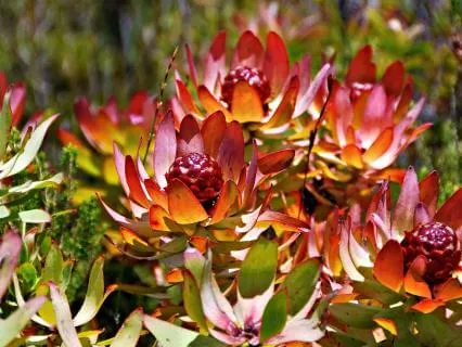 When You’re Hard On Yourself - Shaltazar Pause Transmissions