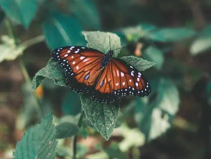 When You're Scared Of Change