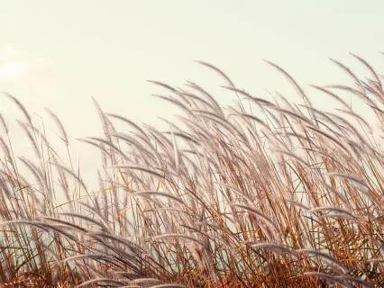 When You’ve Been Living In Your Head