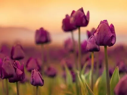 When You've Put Aside Self-Respect In Relationships