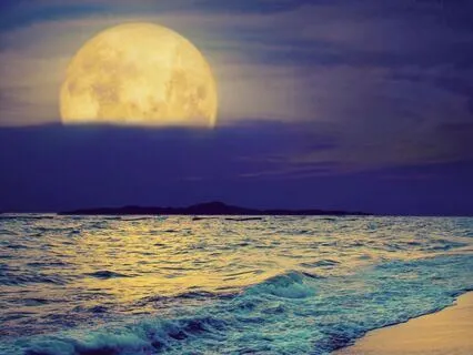 When You Wake Up Between 3 AM And 5 AM