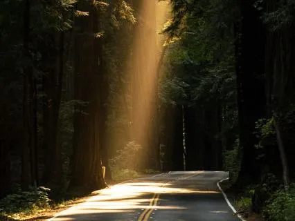 When Your Body Has Been Holding Too Much