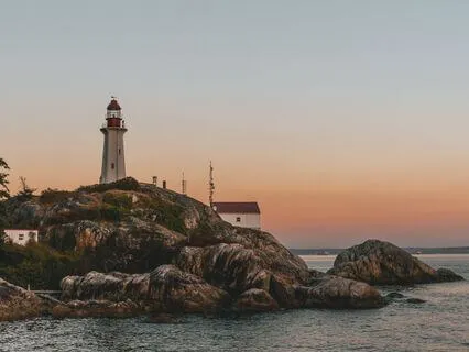 When Your Brain Is Conditioned To  Call Chaos ''Love"