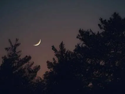 When Your Brain Jolts You Awake: Let Go And Rest