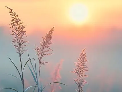 When Your Heart Needs Healing — A Meditation On Psalm 147