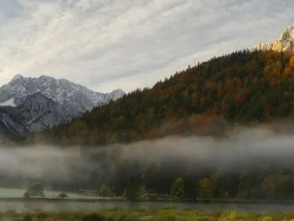 When Your Mind Is Quiet: A Taoist Reflection