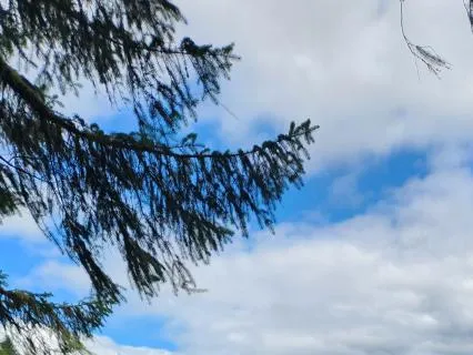 When Your Mind Keeps Saying 'I Should Have'