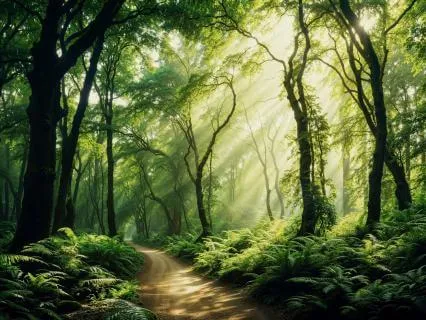 When Your Mind Won't Let Go - A Contemplative Reflection
