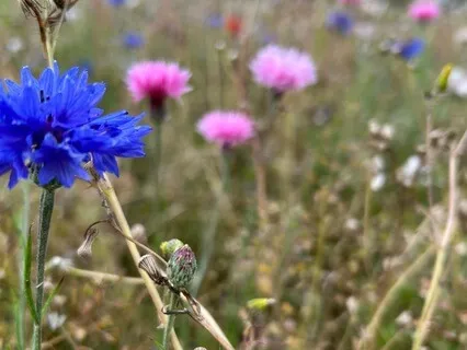 When Your Mind Won't Sleep - August 22