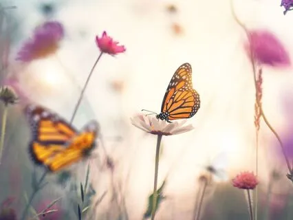 When Your Old Self Merges With Your Future Self