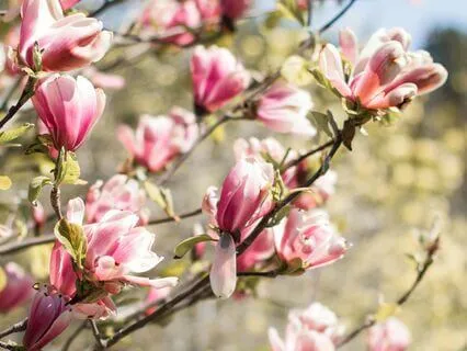 When Your Spirit Is Begging You To Pause