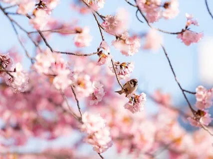 When Your Spiritual Practices Fall Off