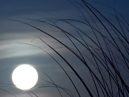 When You’re Feeling Lonely At Night Sleep Meditation