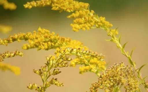 When You're Struggling