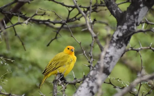 When You've Believed The Lie That You Have No Skill