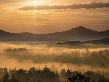 When You've Poured Your Heart & Sweat Into Something