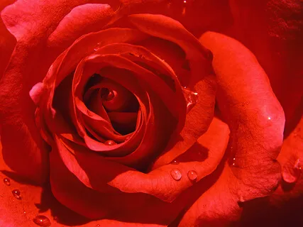 Where Are You On The Emotional Guidance Scale?