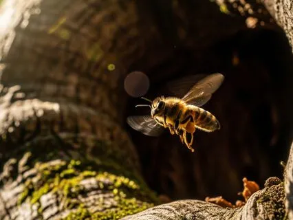 Where Do Emotions Come From?