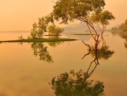 Where Do You Come From