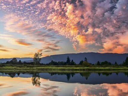 Where Dreams Swim In Light And Whisper Softly