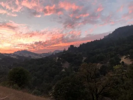 Where Intention Meets Surrender