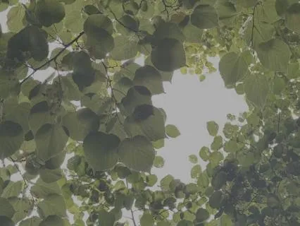 Where Is My System Right Now?