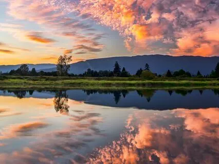 Where Is The Mind Now?