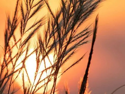 Where Light Fades – A Gentle Space For Heartfelt Calm