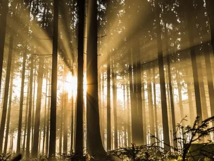 Where Love Has Timelessly Been