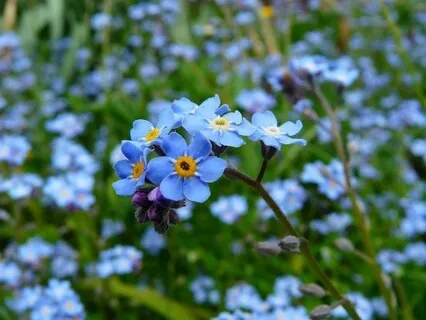 Where Opposites Meet- May 14