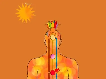 Where Safety Lives: Containment For The Nervous System