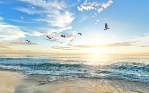 Where The Birds Soar & Sun Shines Mindfulness Meditation