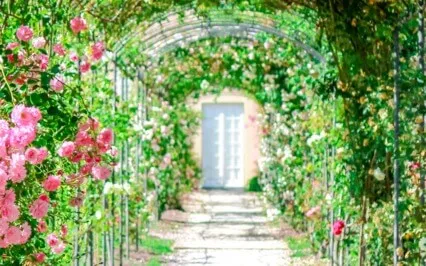 Where The Breadcrumbs Lead 