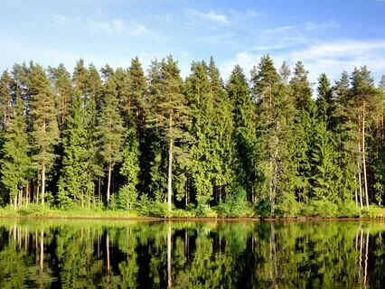 Where The Earth Breathes