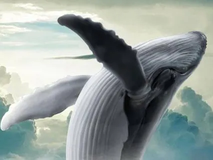 Where The Earth Meets The Sky | 1 Hr Immersive Sleep Journey