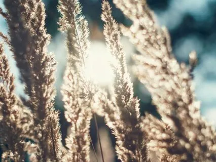 Where The Light Enters: Remembering Goodness In Dark Times