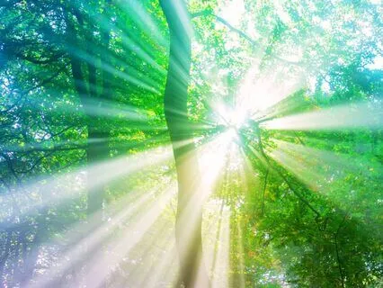 Where The Light Finds Me