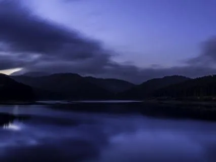 Where The Night Holds You