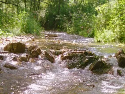 Where The River Sleeps