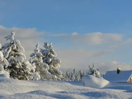 Where The Snow Falls Soft: A Simple Winter Poem