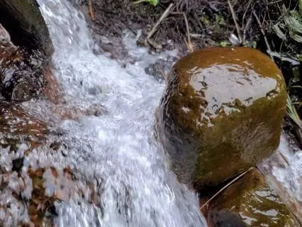Where Water Meets Stone