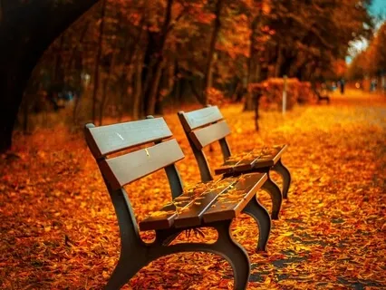 Where You Need To Be