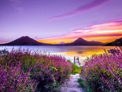 Wherever You Go: 5-Minute Body & Mind Reset