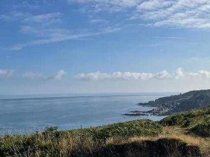 While You Sleep, Abundance Grows