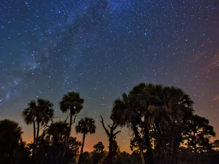  Whippoorwill By Isabella Fiske Mc Farlin