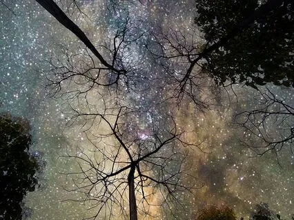 Whisper Into Stillness: A Sleep Meditation