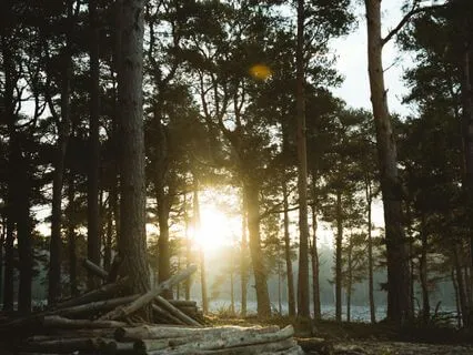 Whisper Of Stillness Meditation (5 Minutes)